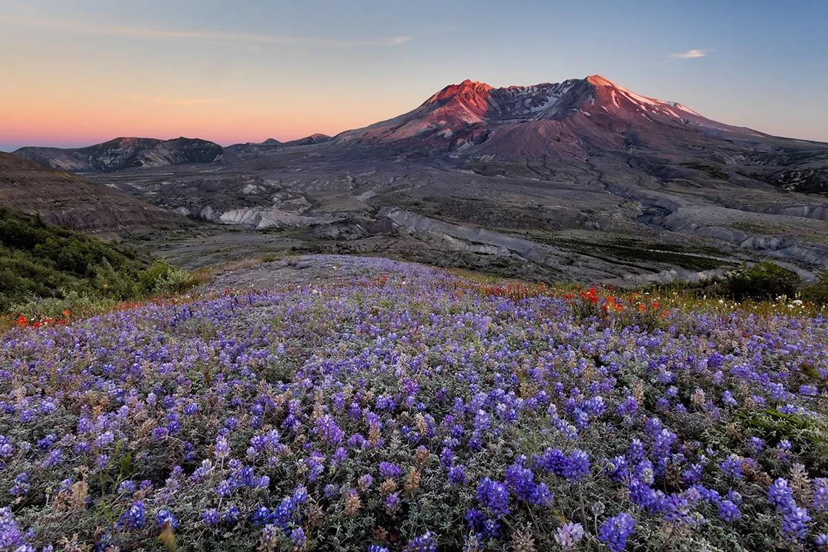 Lessons from Mount St. Helens