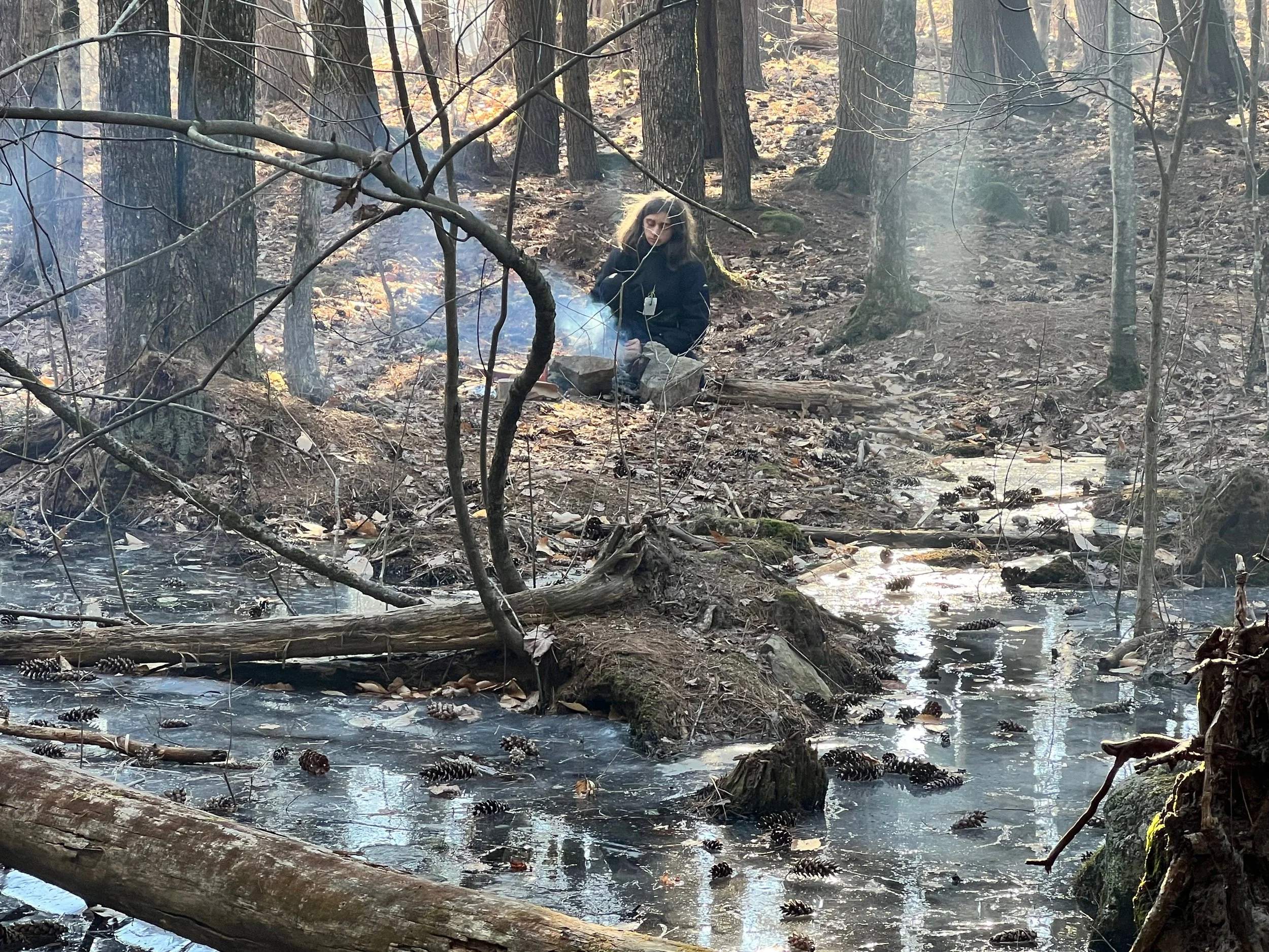 The Sound of Silence