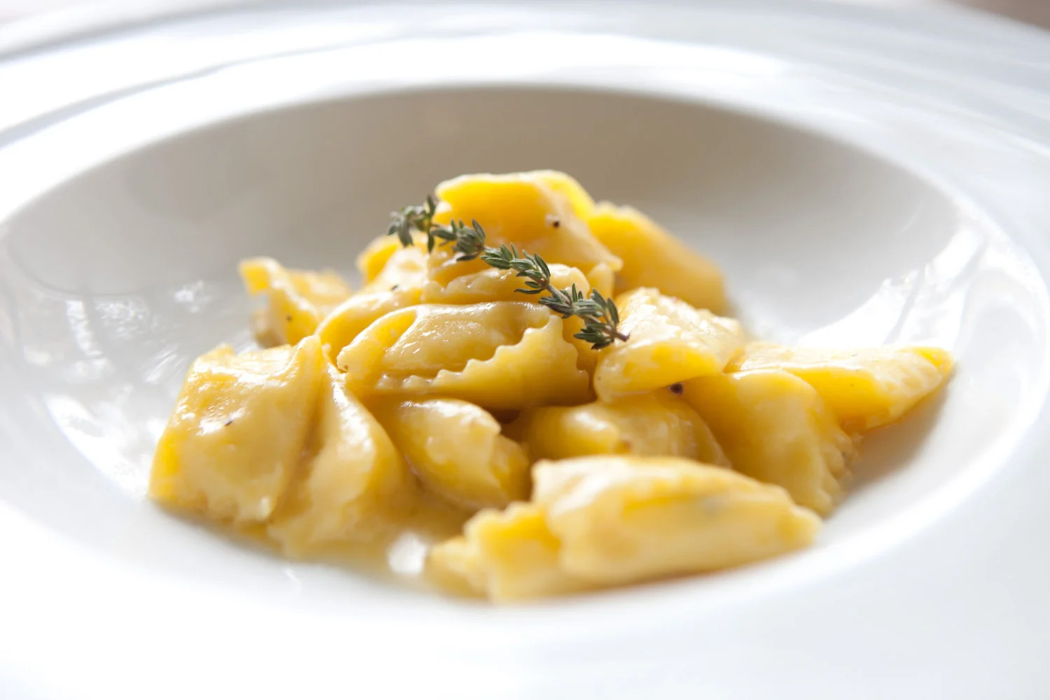 Top 5 Italian Restaurants In Chicago According To The Italians Top 5 Italian Restaurants In Chicago