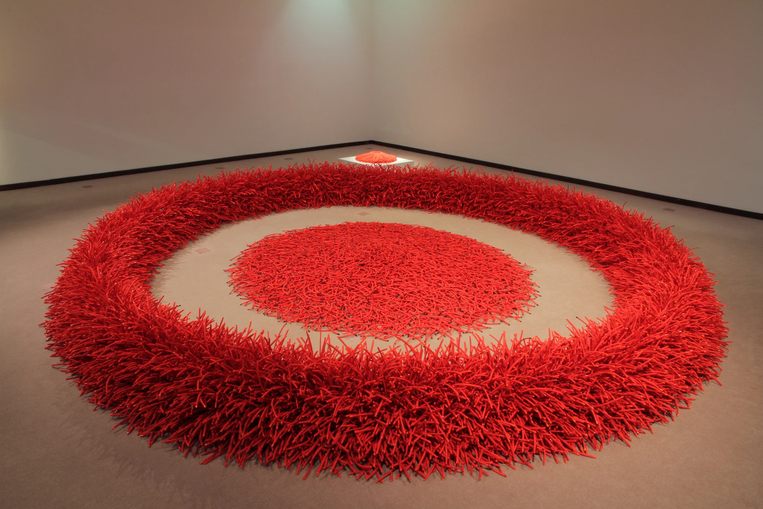 RIng Red belgium IMG_7943.JPG