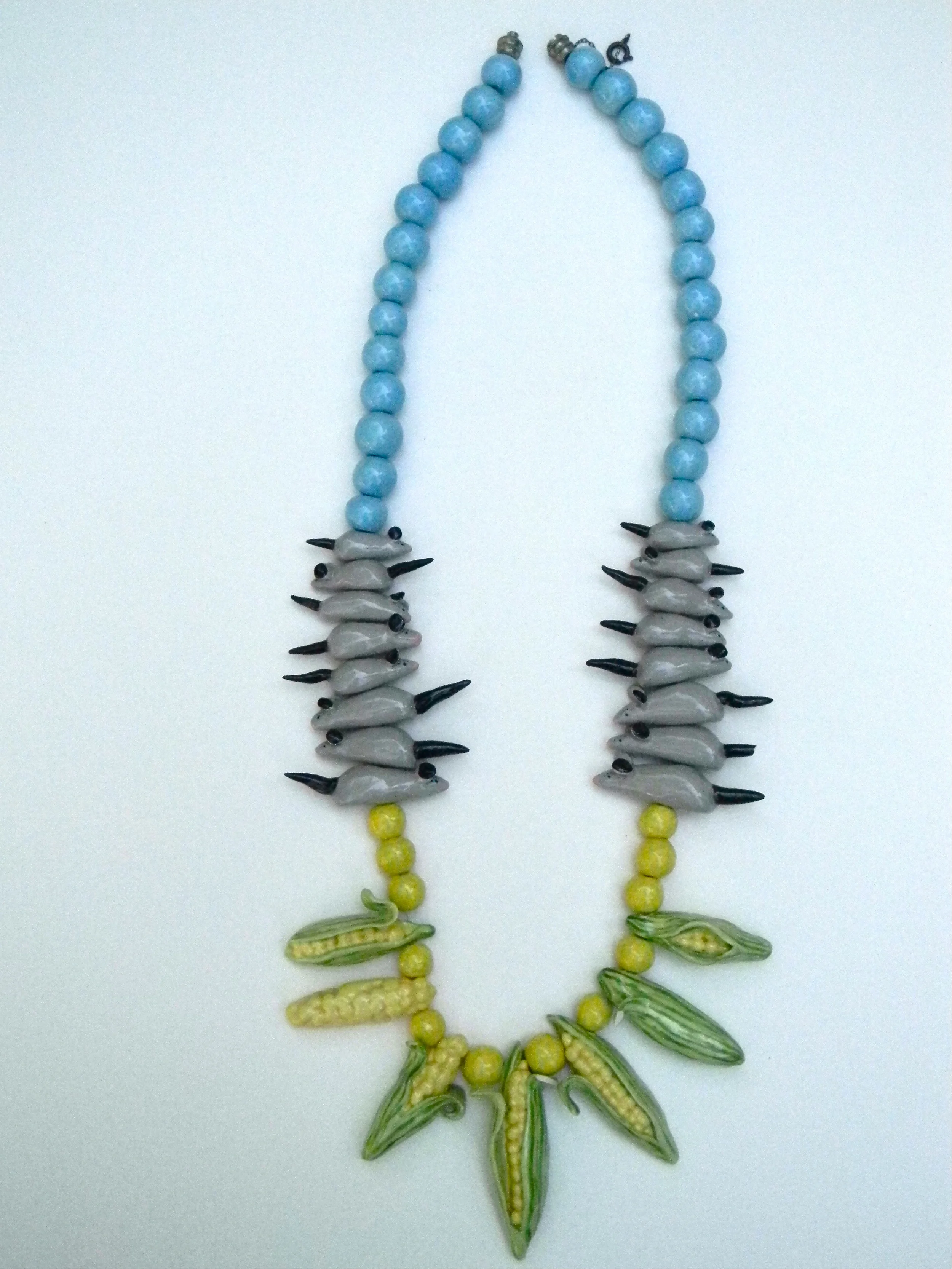 parrot peals 2DSCN0532.jpeg