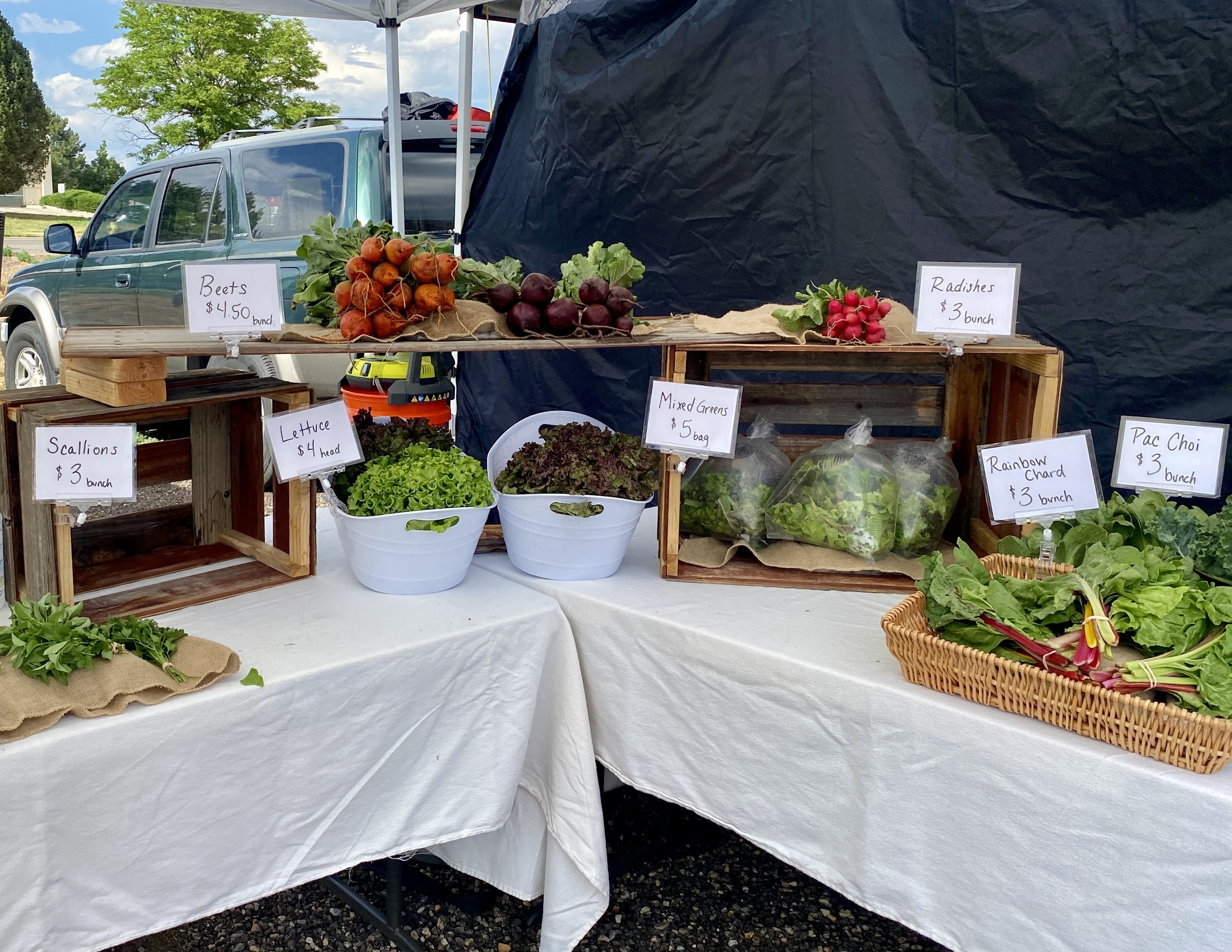 Farmers' Market view.jpg