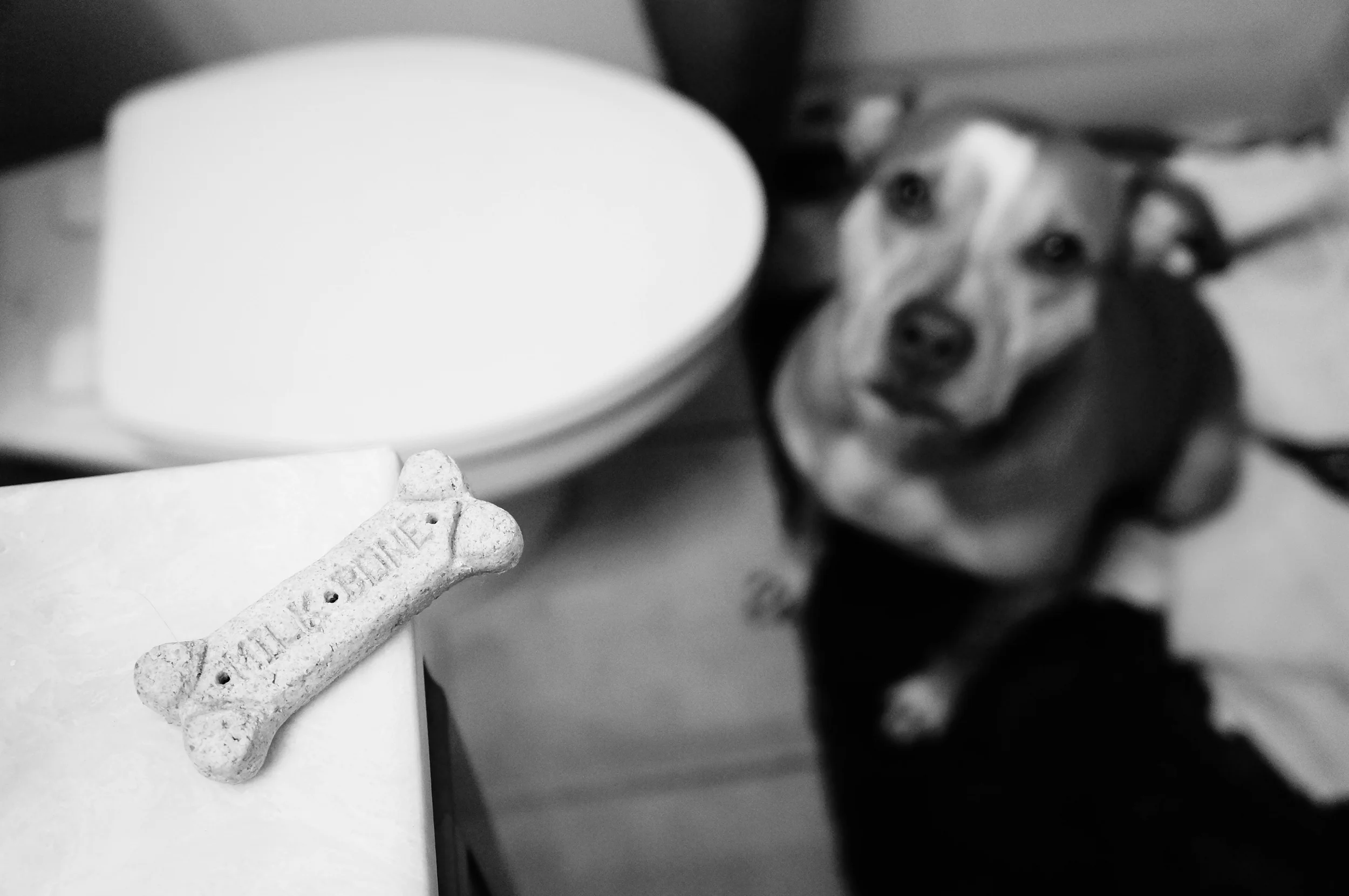 Thanksgiving Break 1 021.JPG