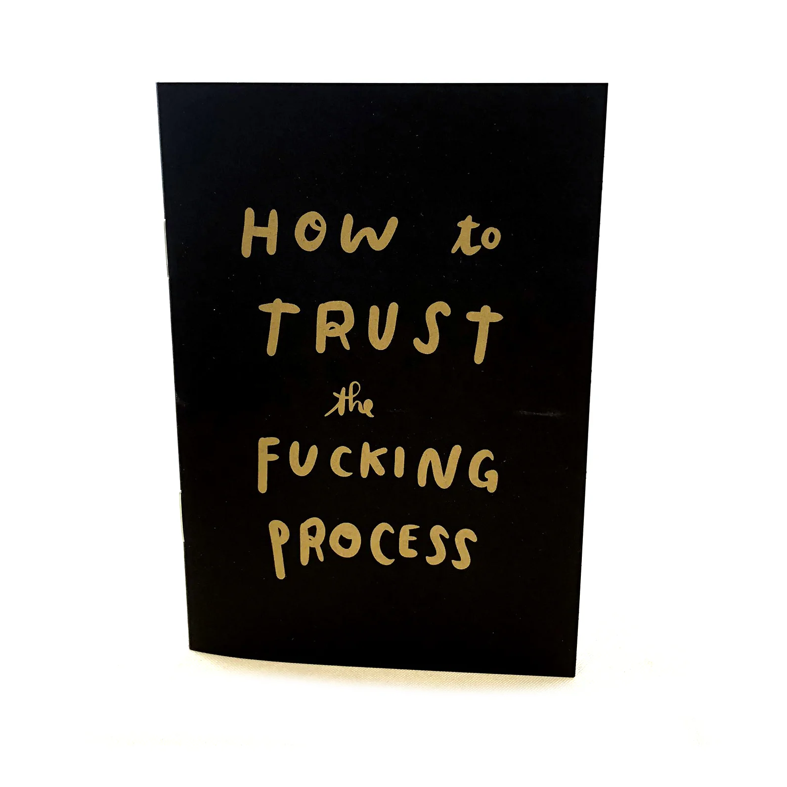 How to Trust the Fucking Process Booklet