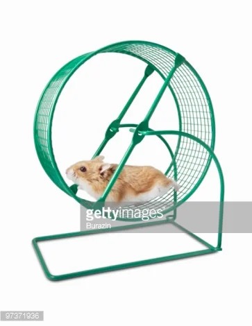 “I don’t want to recreate the Wheel” - #Blog365 Day 2