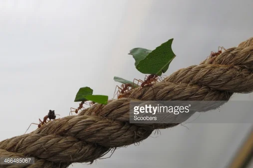 “You’ve got to Earn It” - #Blog365 Day 52