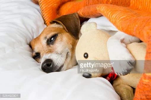 “We All Need to Rest” - #Blog365 Day 89