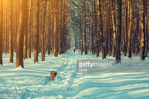 “A Brisk Walk” - #Blog365 Day 173