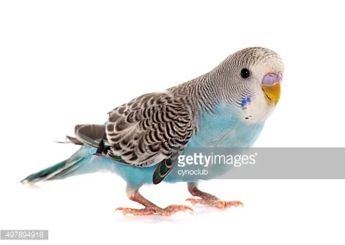 “A New Friend” - #Blog365 Day 182