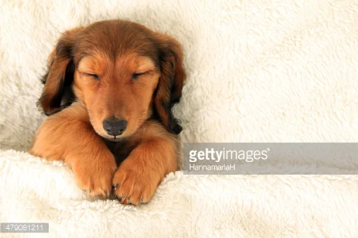 “I Feel So Rested. . . “ - #Blog365 Day 191