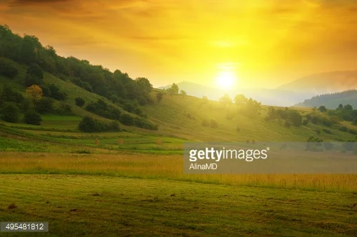 “A Morning Surprise” - #Blog365 Day 202