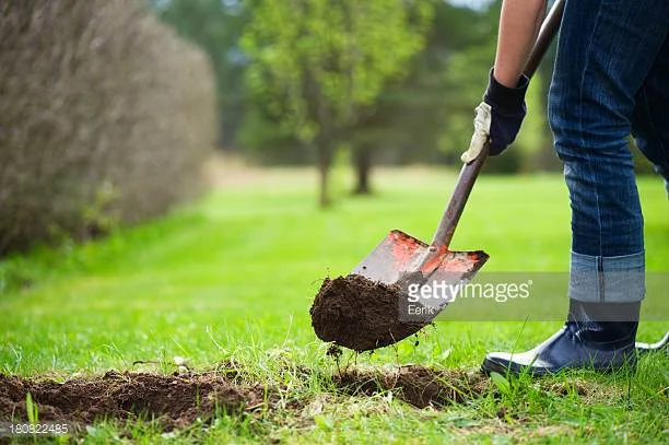 “Getting to the Bottom of It” - #Blog365 Day 239