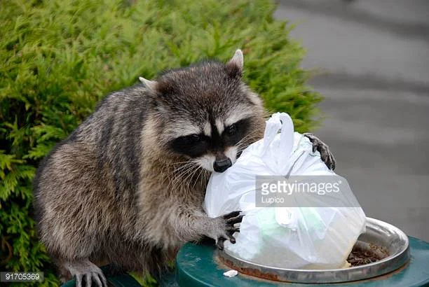 “I’ve Been Outsmarted” - #Blog365 Day 280