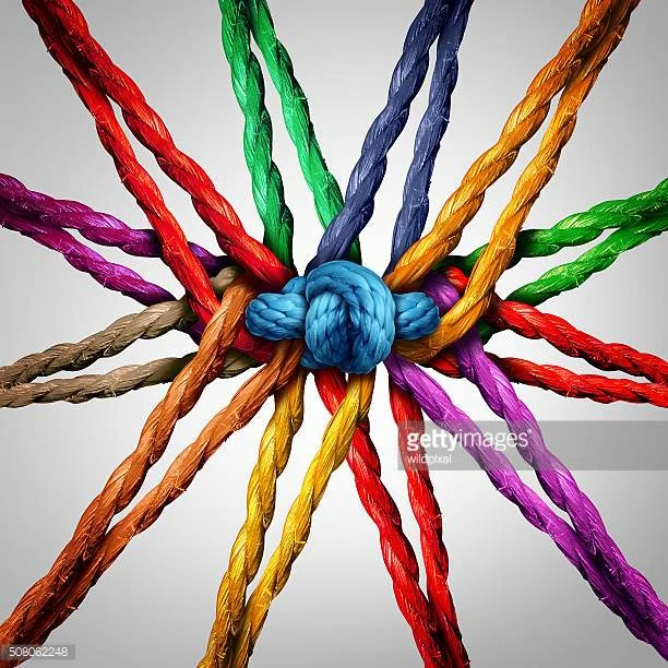 “A Varied Network” - #Blog365 Day 329