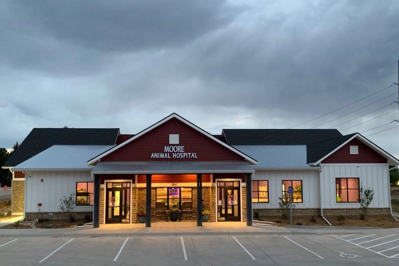 Your Guide to Wellness at Jessup Farm