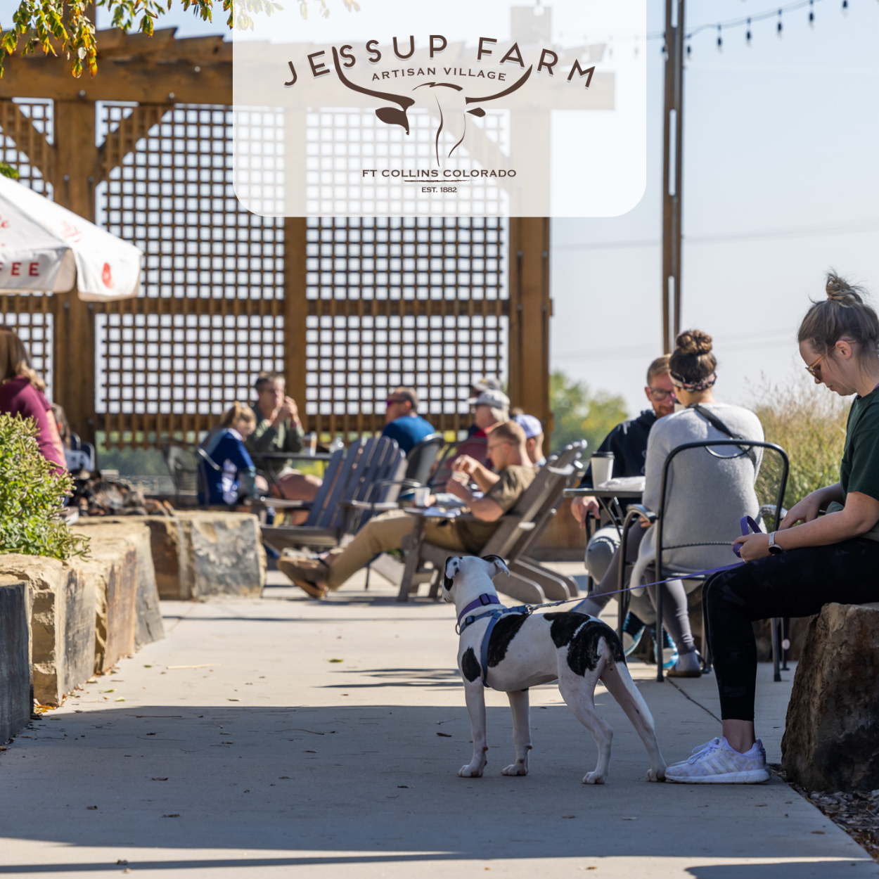 Where To Take Out-of-Towners In Fort Collins (A Local’s Itinerary)