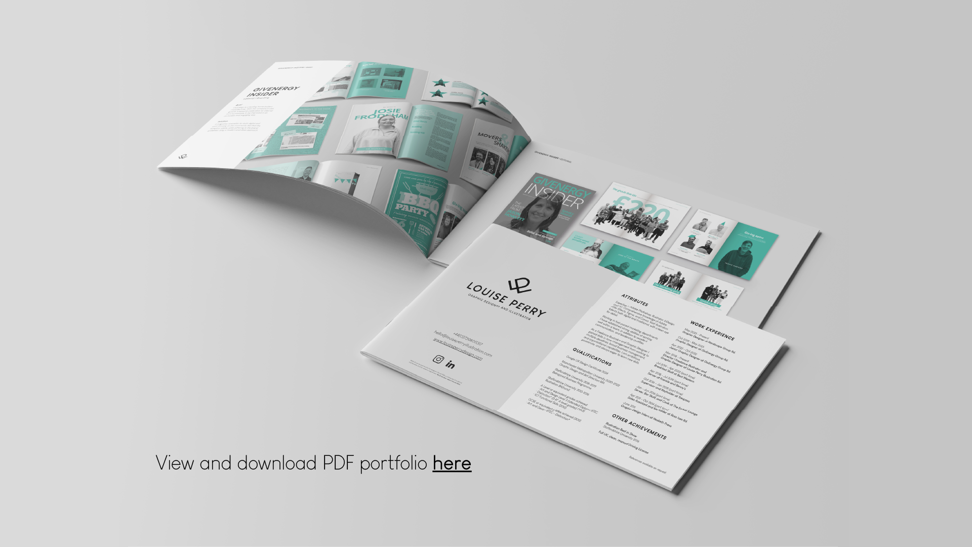 portfolio link 2026.png