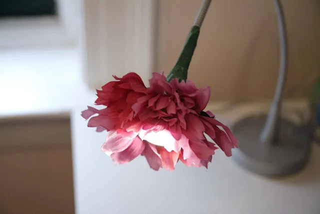 weissflowerlight