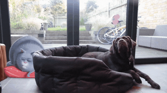 6RWmw9@10MB.gif