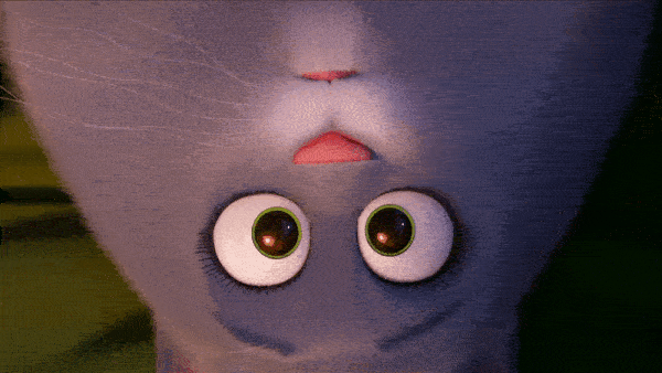 <strong>Universal</strong>Pets on Pets