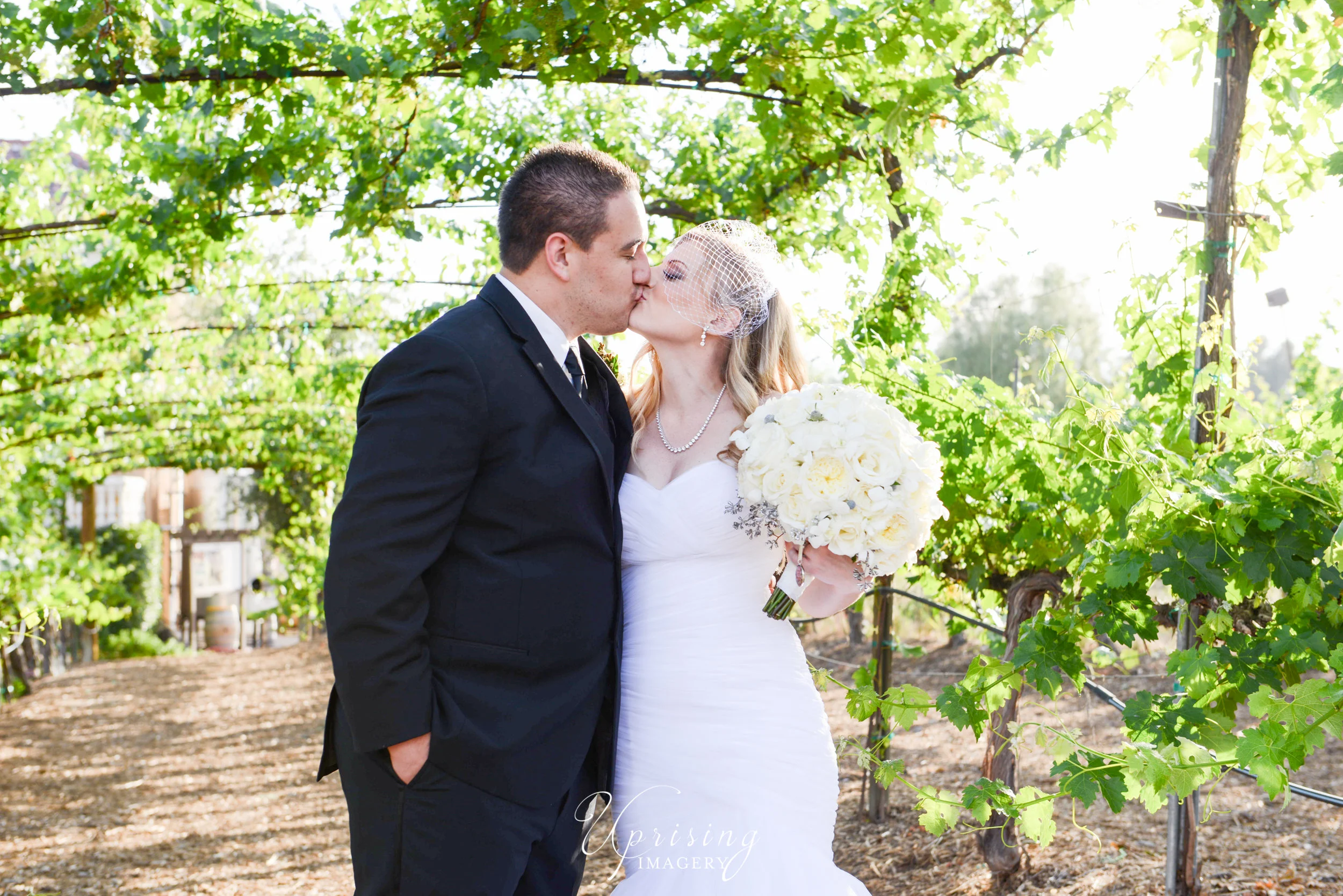 Amber & Anthony | Temecula CA | Wilson Creek Winery Wedding 
