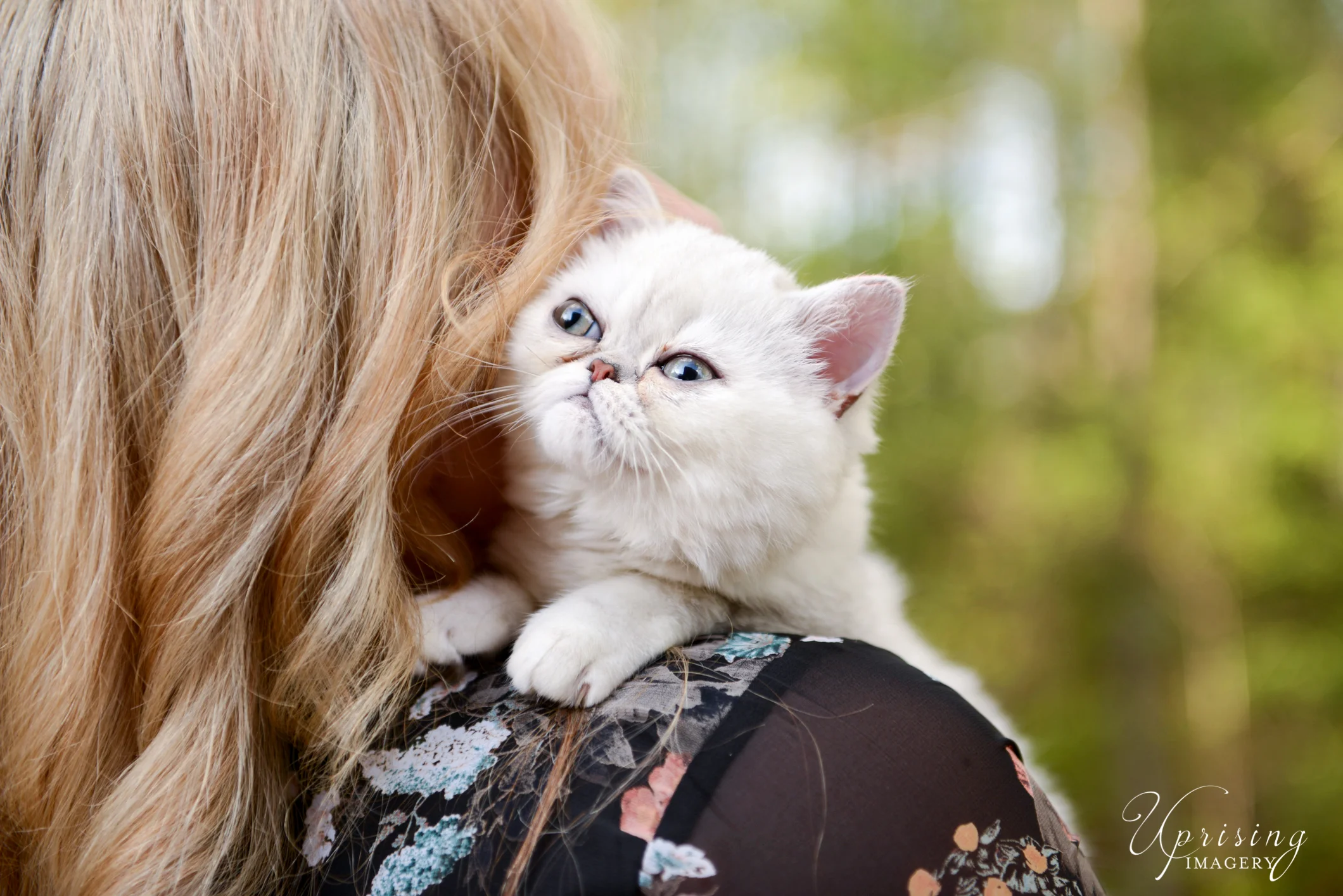 Adventures with Ryan & Shayna | Baby Kitten | Luna 