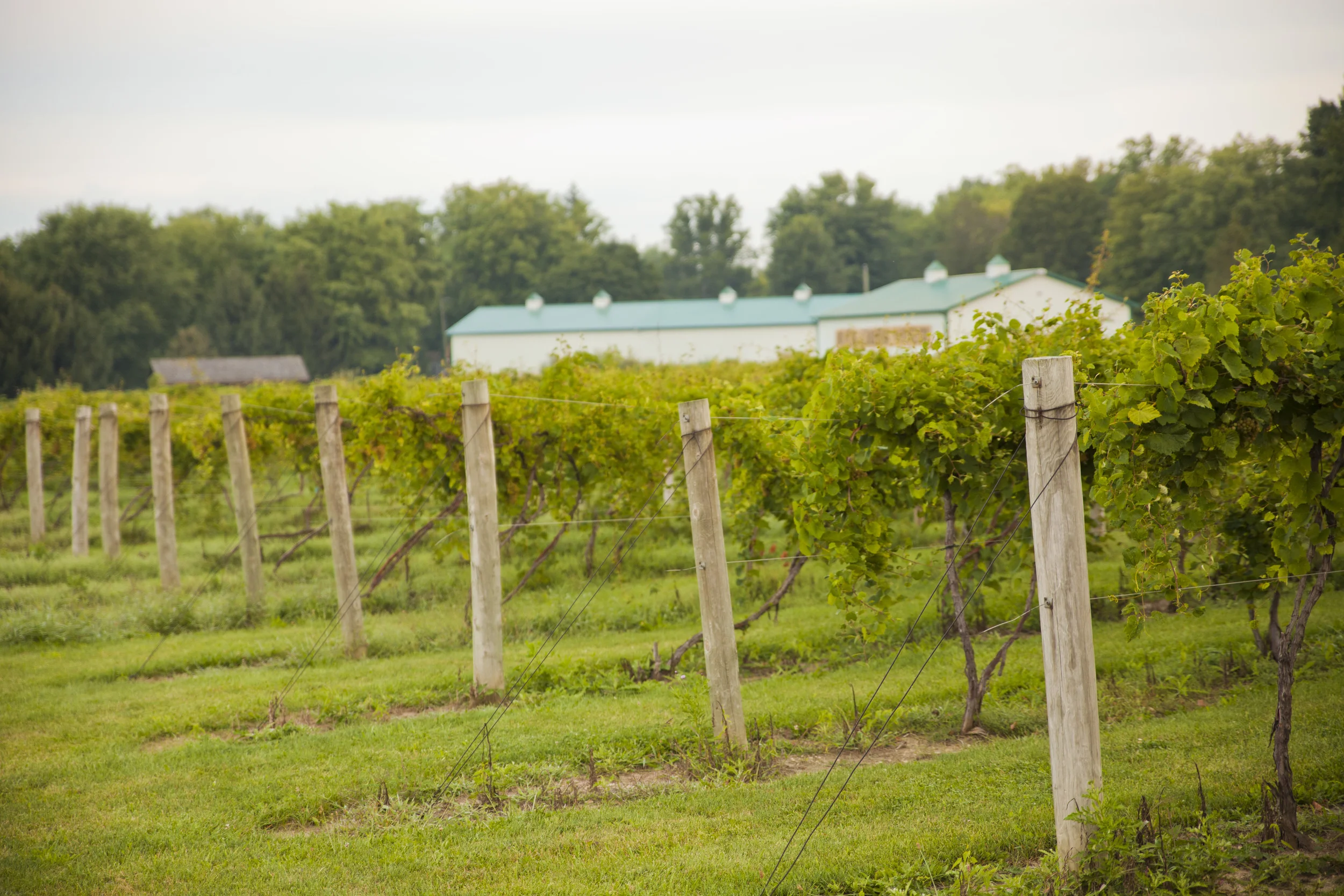 Where To Find Us — Buck Creek Winery