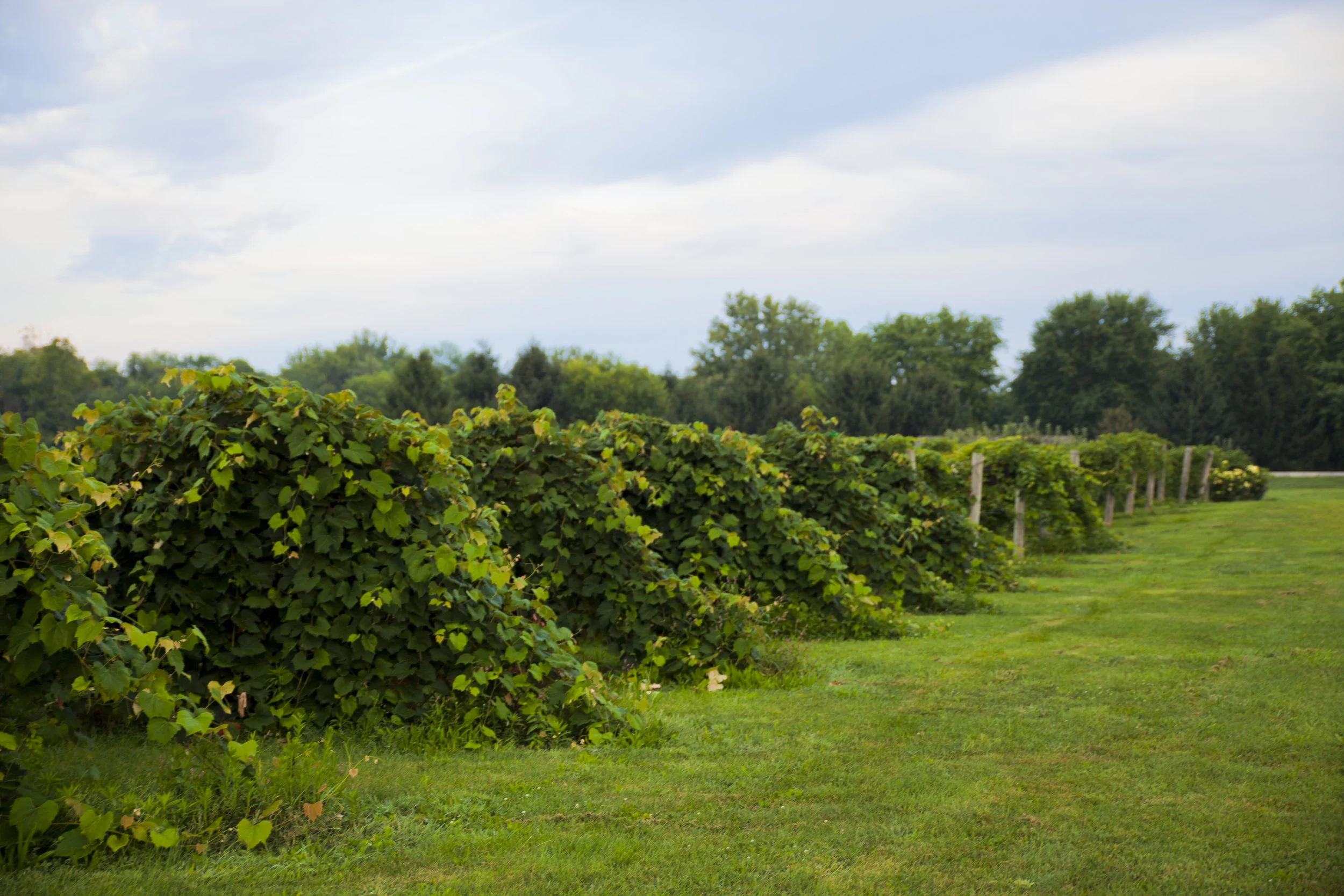 Wine Tasting for Two Experience! 