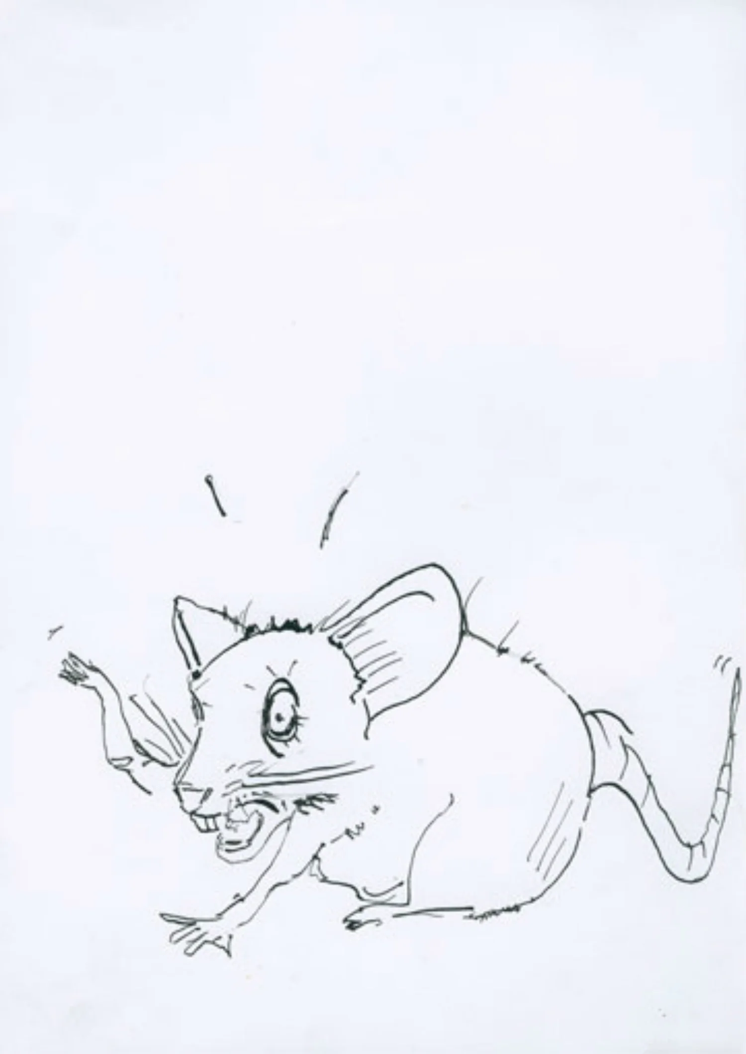 1-6-panische-Maus-S +.jpg