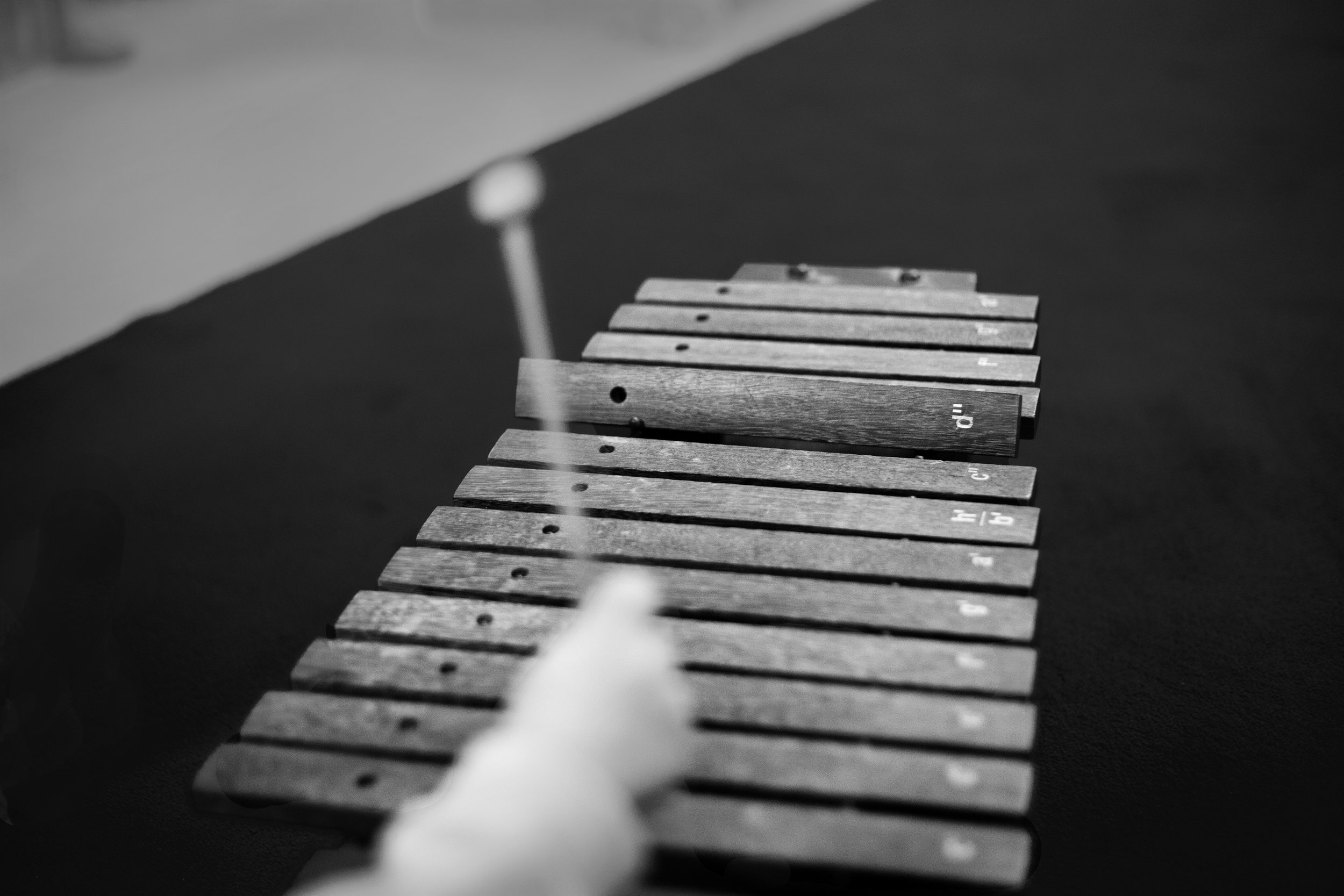 _MG_9634 5.jpg