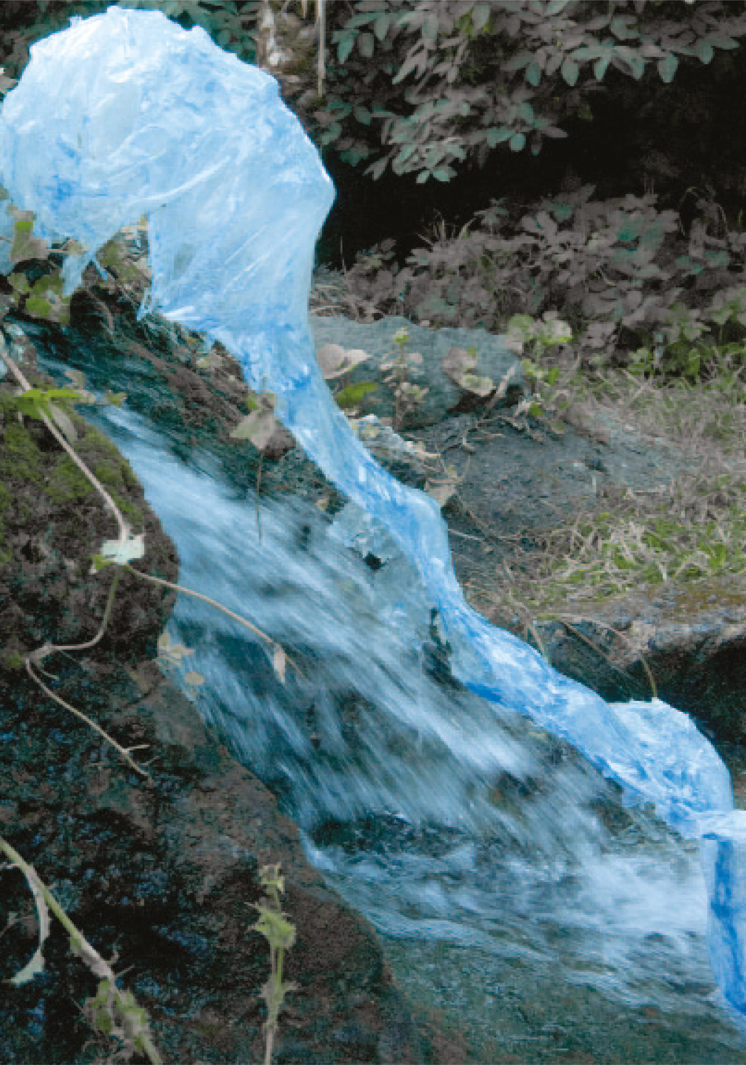 Sprachmaschine Ausflug in die Natur.jpg