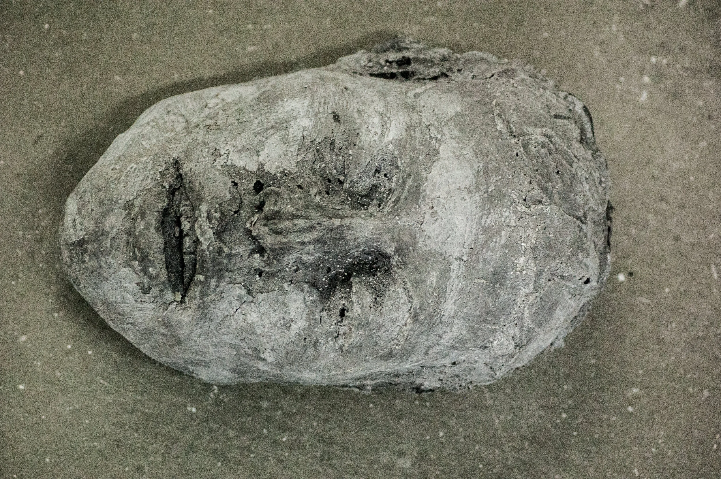  Schaumgummi, Pigtmente. 30x15cm 