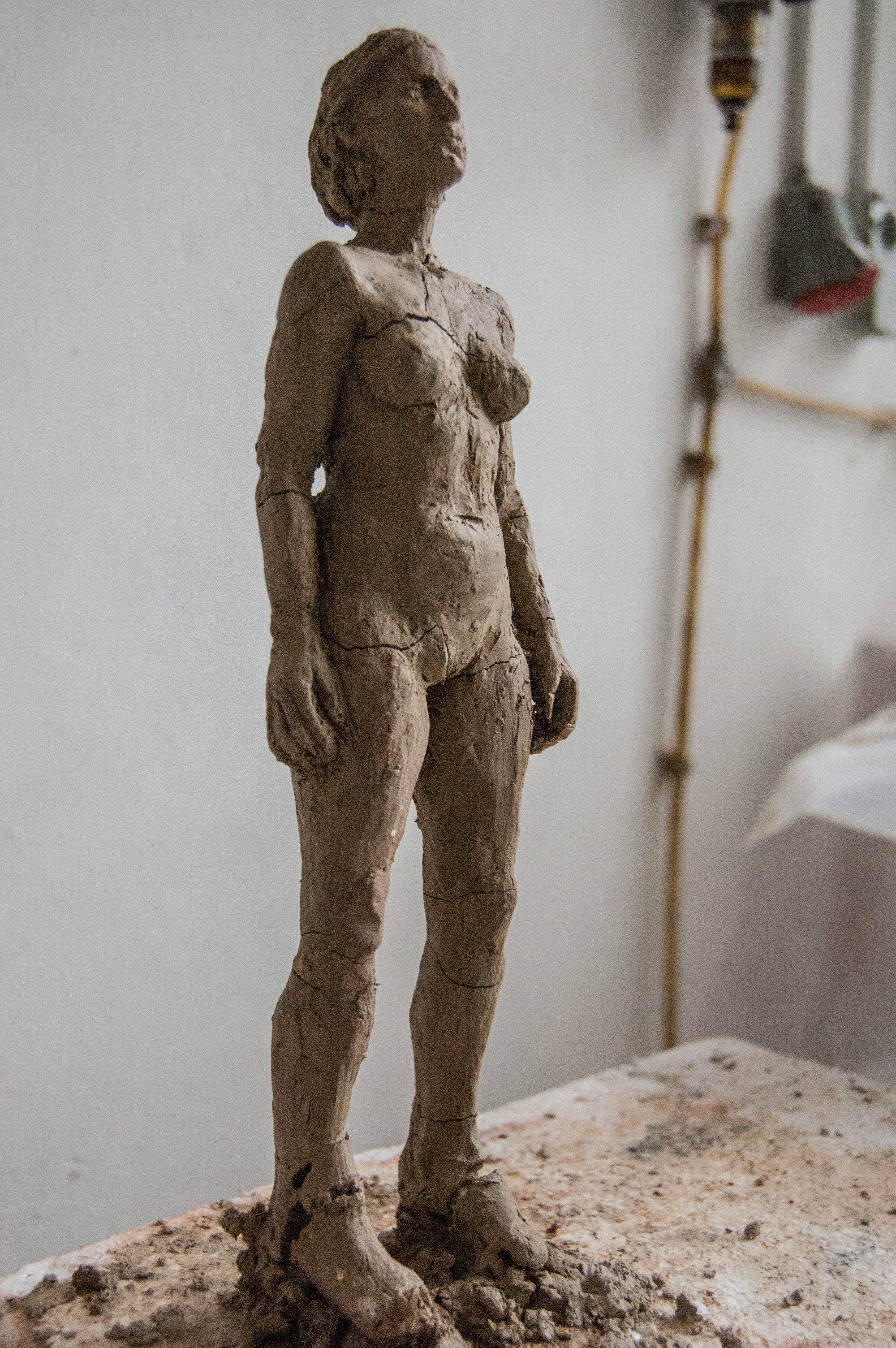 DSC_0078.jpg