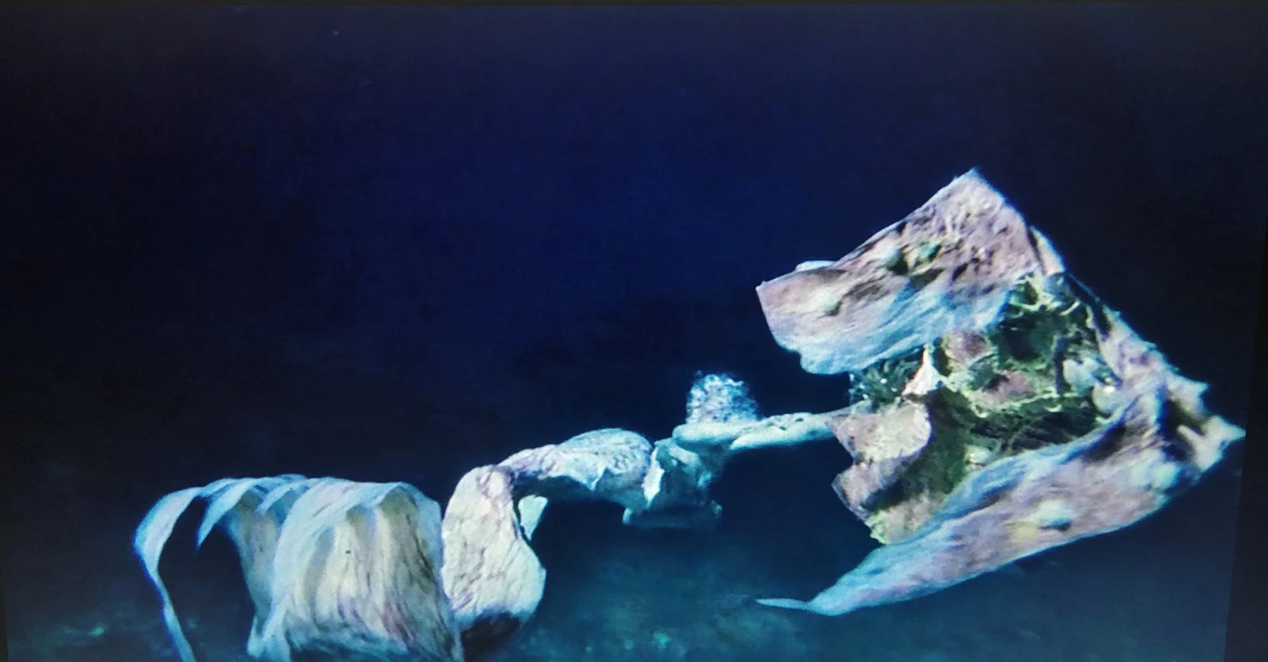 ONDINAS swimming away.jpg