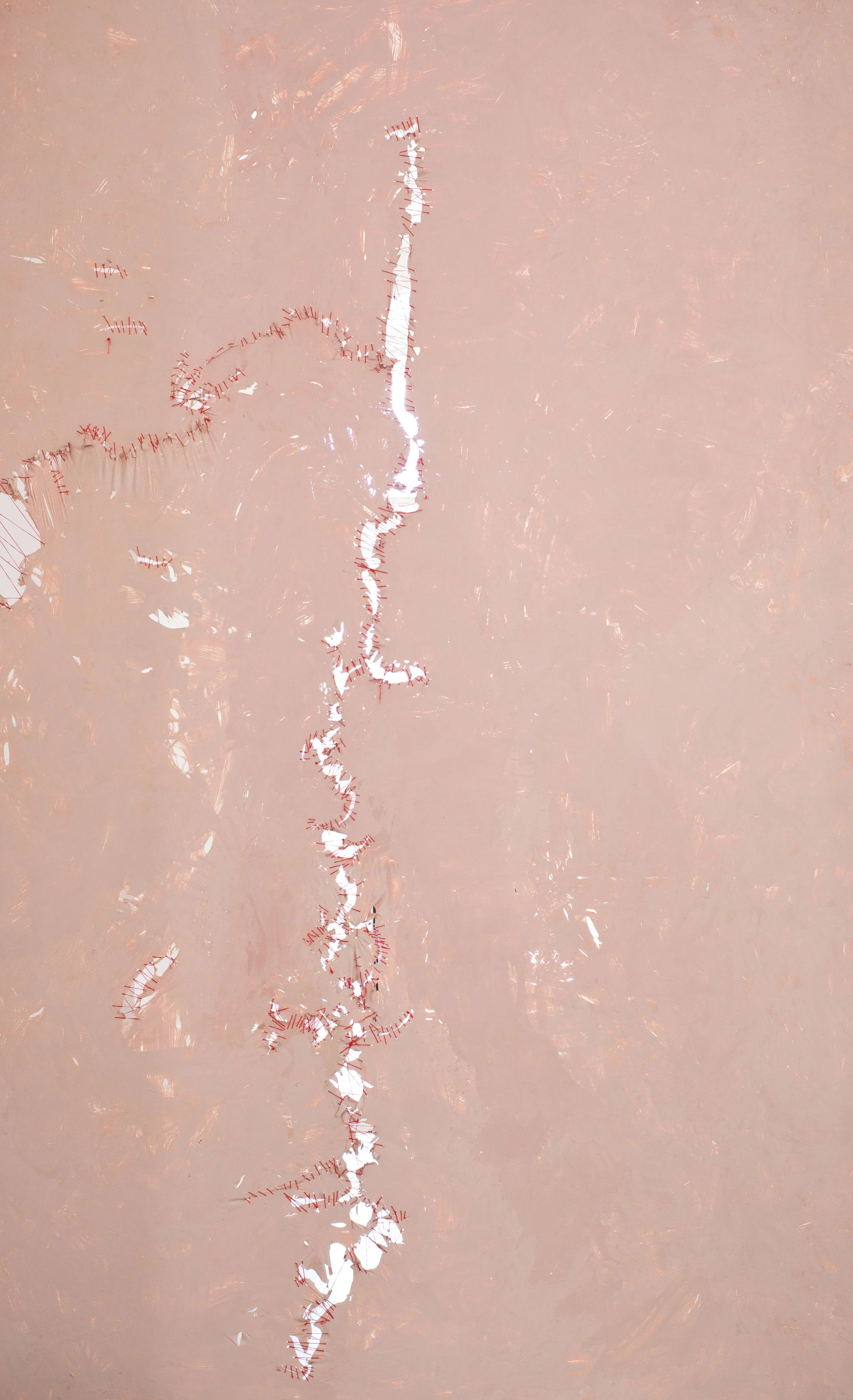 (Broken)Hymen_reconstructed.jpg