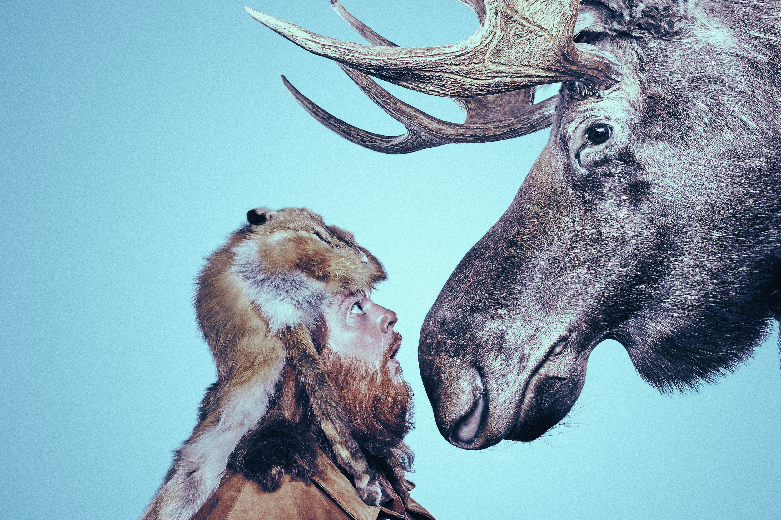 Torry Martin face to face with a moose for his book "Of Moose and Men".
