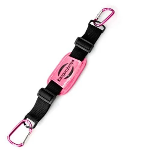 Carring%25252BBelt.JPG%25252C