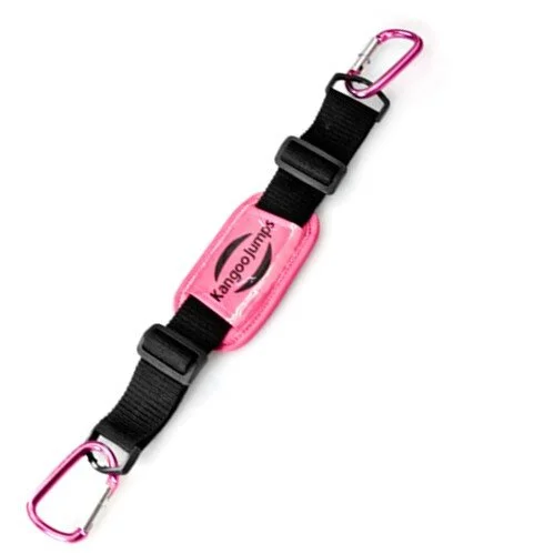 Carring%2BBelt.JPG%2C