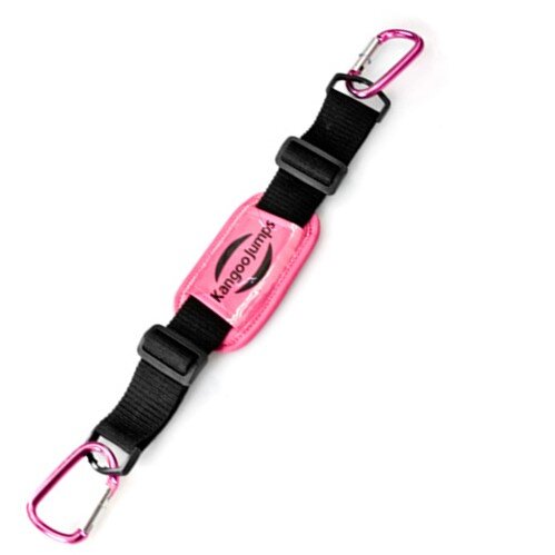 Carring%2BBelt.JPG%2C