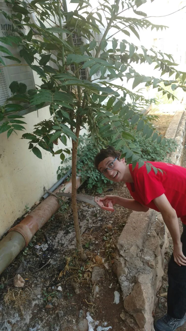 WhatsApp Image 2017-08-08 at 5.09.21 PM.jpeg