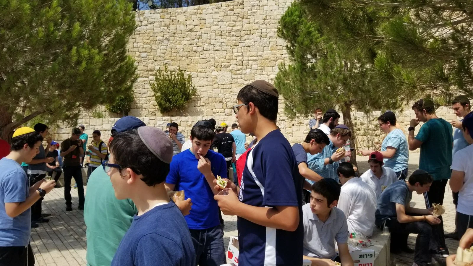 WhatsApp Image 2017-08-23 at 1.54.48 AM.jpeg