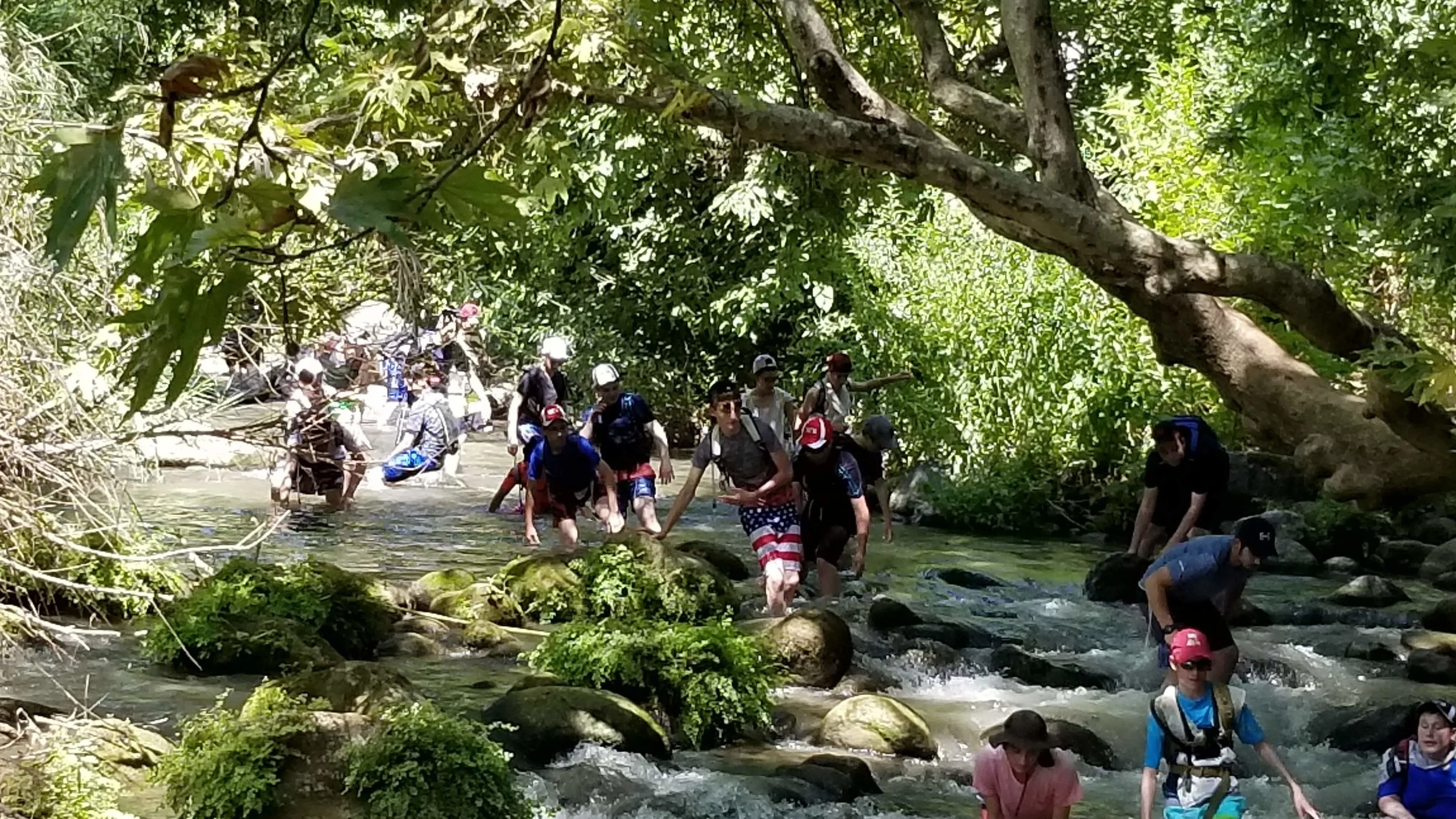 20180711_150119.jpg