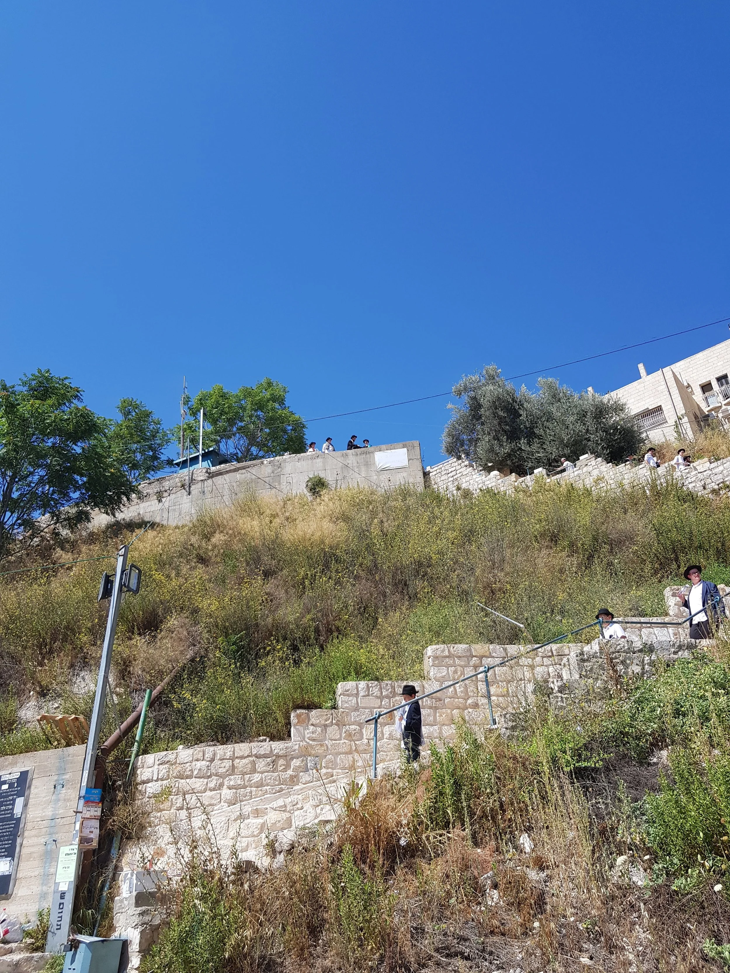 20180717_150834.jpg