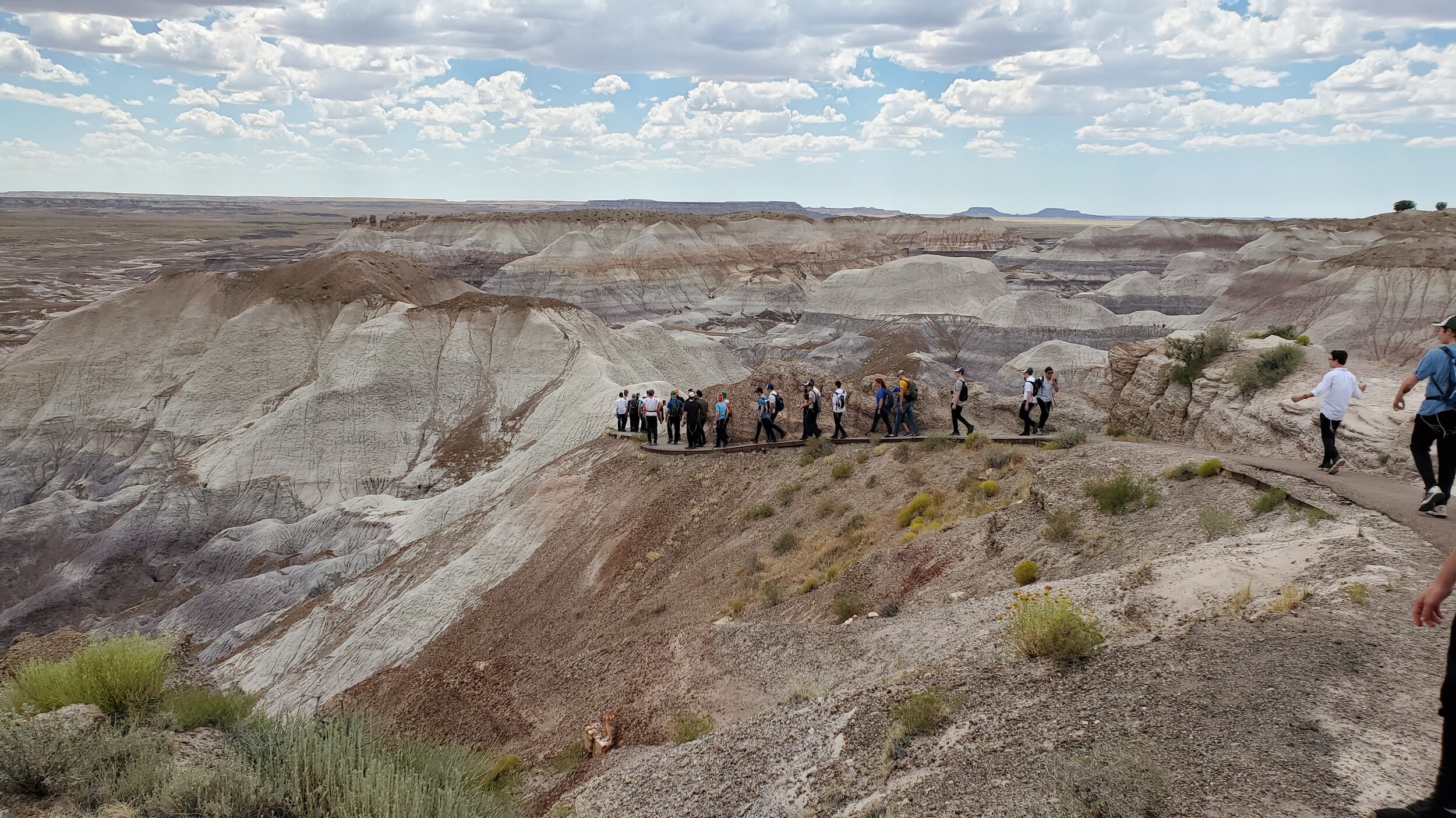 Blue Mesa Trail at Petrified Forest