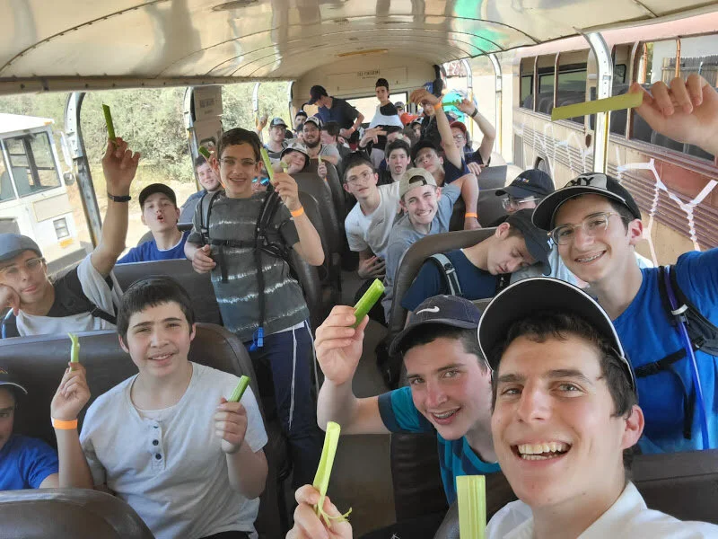TRIP 11.jpg