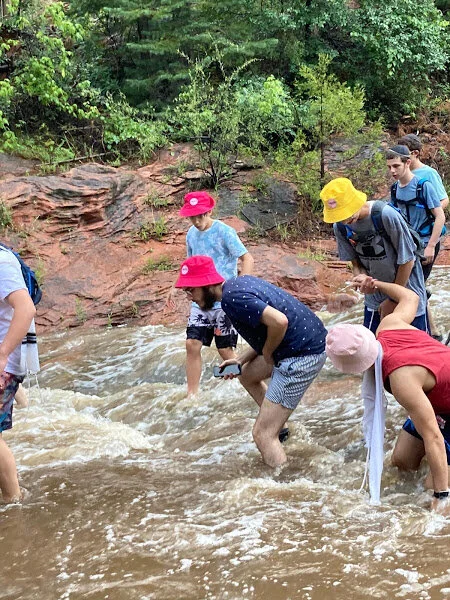 sedona 58.jpg