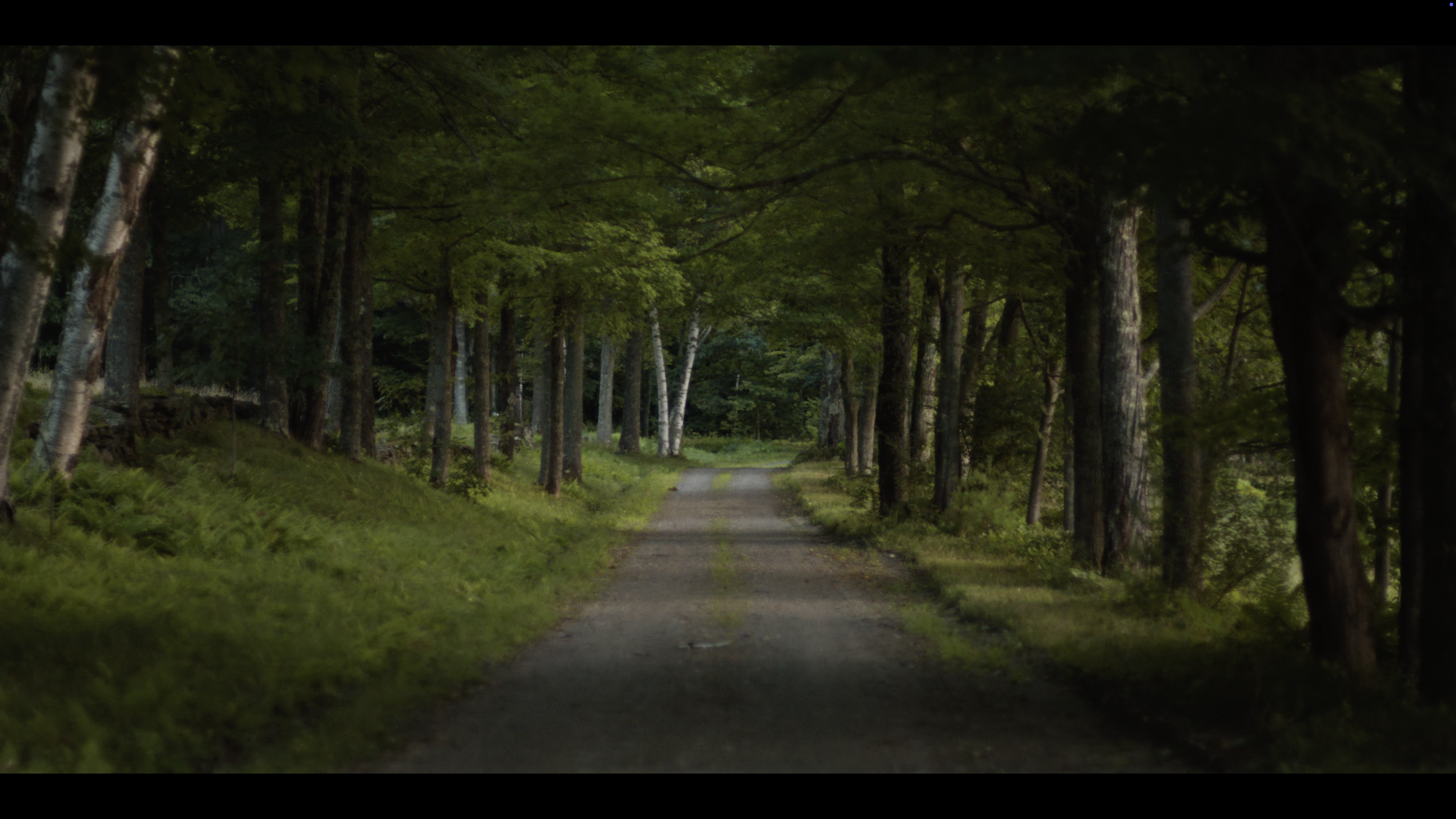 Screenshot 2026-01-12 at 11.01.02 AM.png