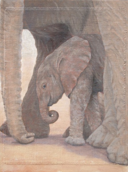 Dame Sheldrick's Wild Wiva