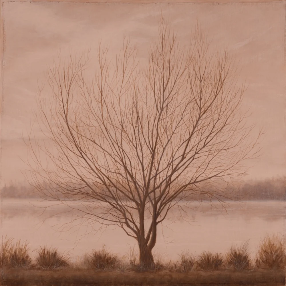 Winter's Grace