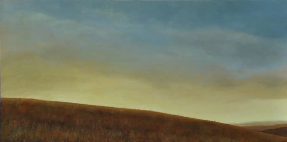 Palouse Sky